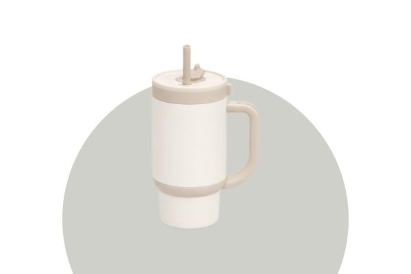 insulated water bottle with straw and handle